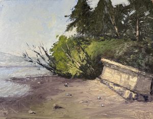 Eglon Beach Morning, Washington