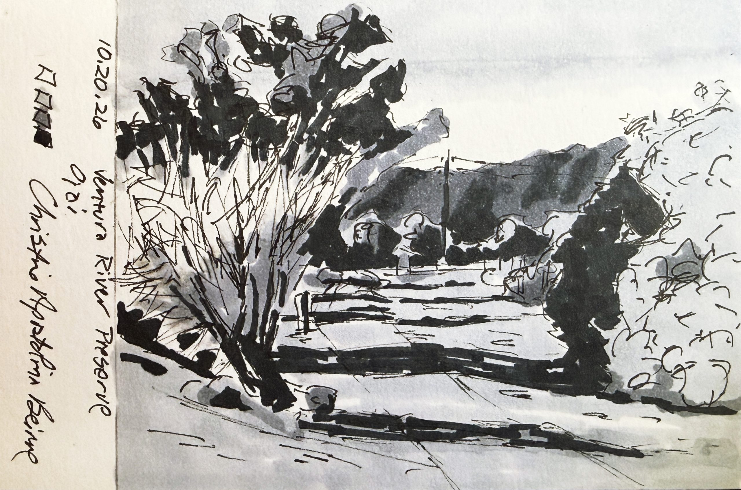 Horizontal pen and cool gray marker drawing of Ventura River Preserve in Ojai, California, with foreground trees, distant hills, a utility pole, a small building, and handwritten notes.